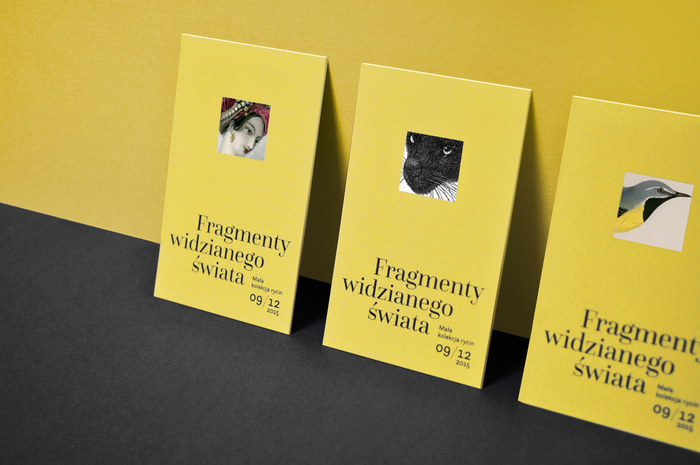 Fragments of the Visible World 7