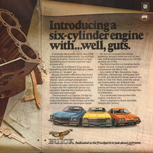 1975 Buick Skyhawk, Skylark, Century ad
