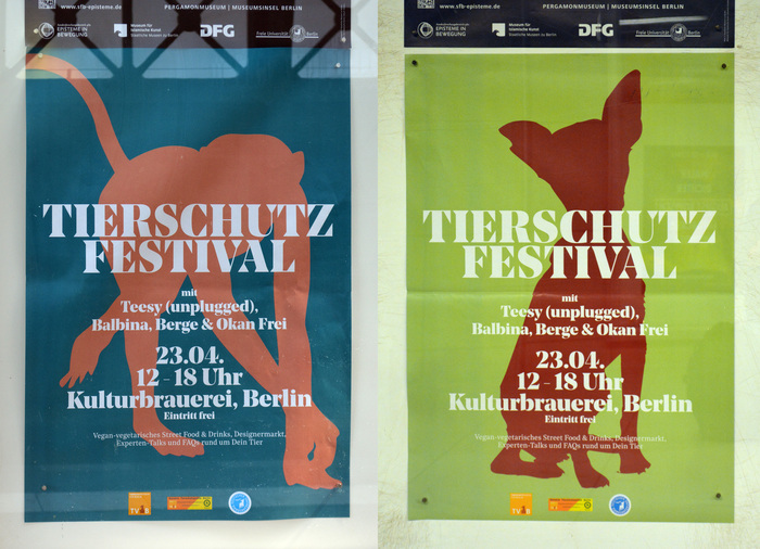 Tierschutzfestival 5