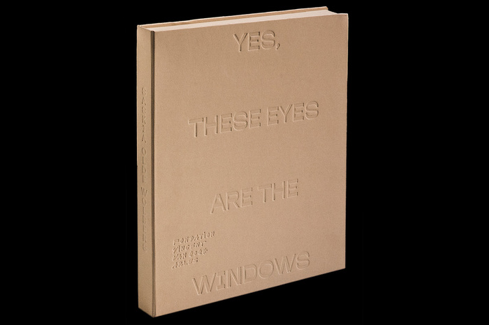 Yes, These Eyes Are the Windows by Saskia Olde Wolbers 1