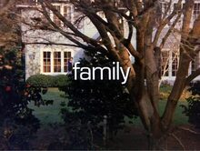 <cite>Family</cite> TV series, 1976–1980