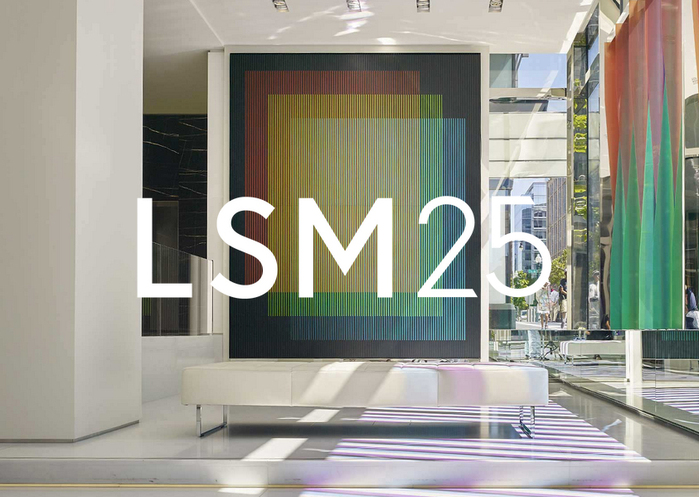LSM Studio website 1