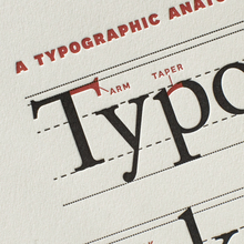 Typographic Anatomy Poster