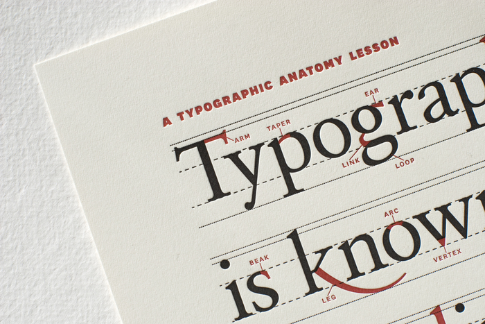 Typographic Anatomy Poster 1