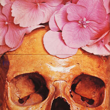 Still Life – <cite>Still Life</cite> album art
