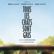 <cite>Tous les chats sont gris</cite> movie poster