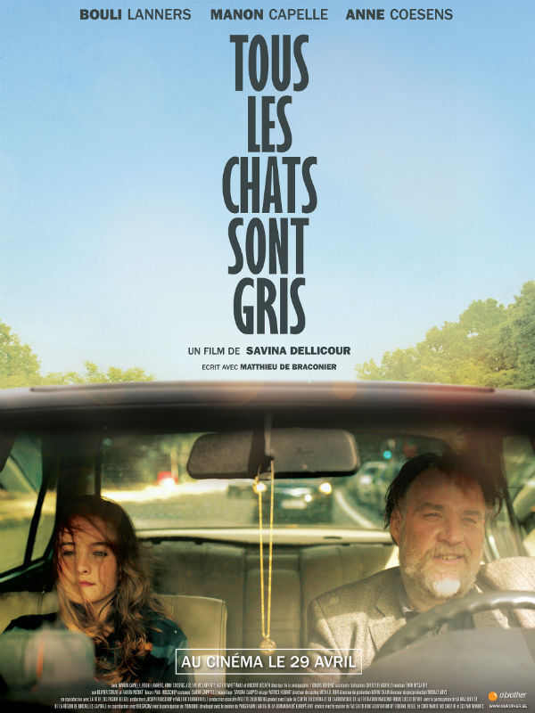 Tous les chats sont gris movie poster 1