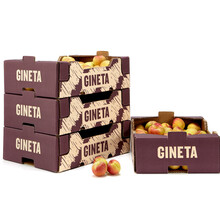 Gineta