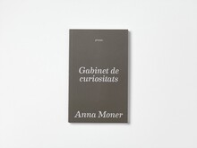 <cite>Gabinet de curiositats</cite> by Anna Moner