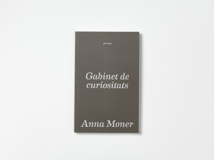 Gabinet de curiositats by Anna Moner 1