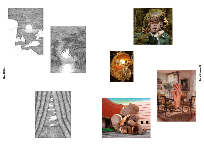 Contexta Collection: Secret 9