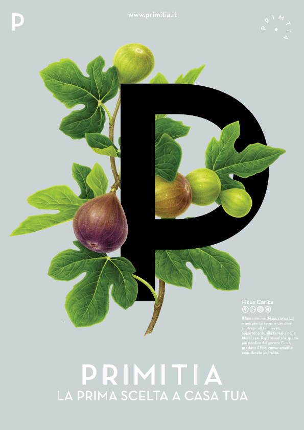 Primitia fig poster