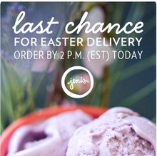 Jeni’s Splendid Ice Creams Email Promotion