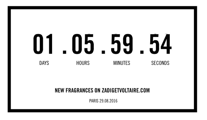 Zadig &amp; Voltaire logo and website 5