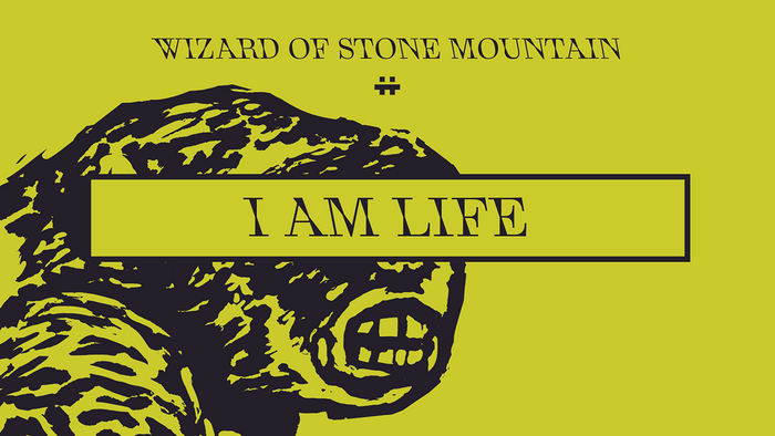 Wizard of Stone Mountain 5