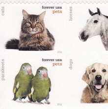 USPS “Pets” postage stamps