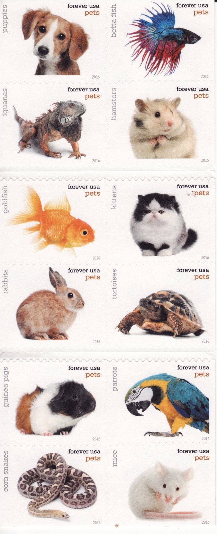 USPS “Pets” postage stamps 2