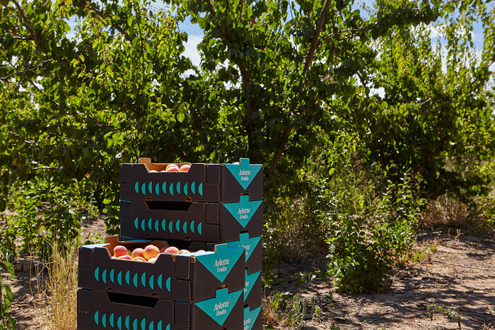 Arlette Fruits 2