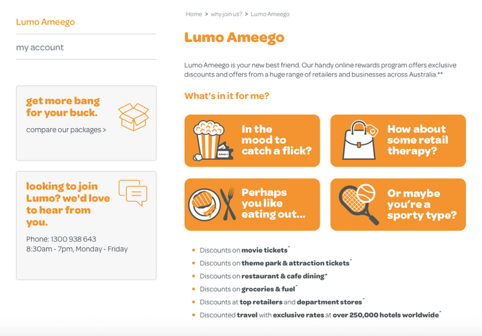 Lumo Ameego — detail from the website designed by Bullseye Digital