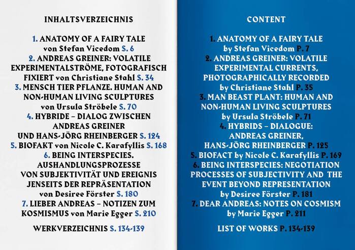 Anatomy of a Fairy Tale by Andreas Greiner 4