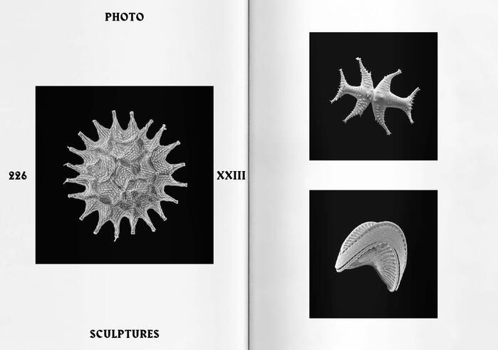 Anatomy of a Fairy Tale by Andreas Greiner 8