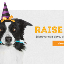 PetSmart Halloween Specials