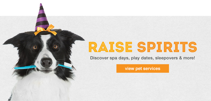 PetSmart Halloween Specials 1