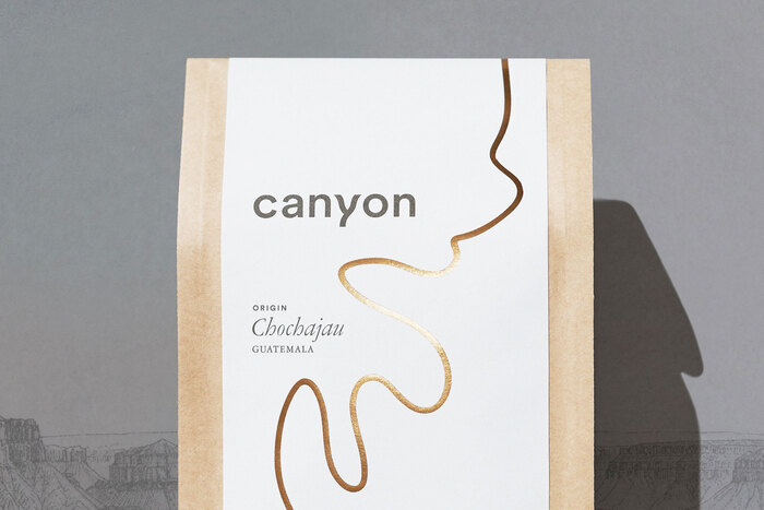 The customized LL Circular 'Y' in the logotype represents a fork in the river or a bird in flight.