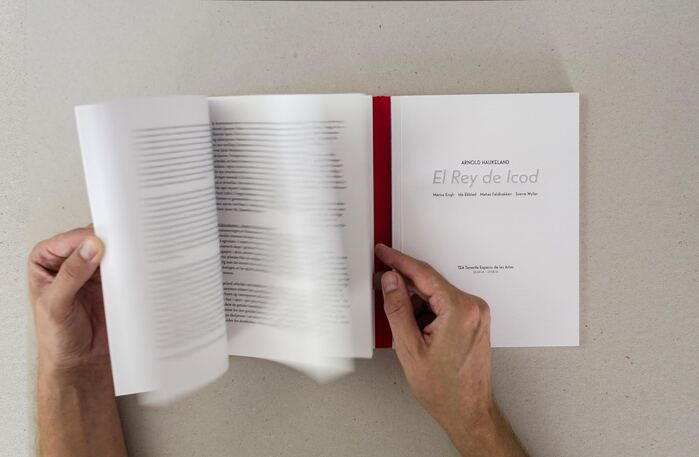 El Rey de Icod / Figur og form 5