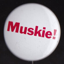 Ed Muskie 1972 US presidential campaign