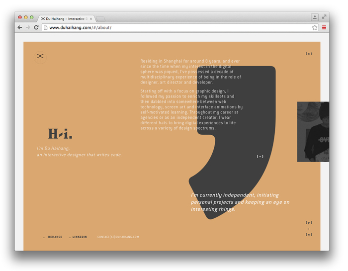 Du Haihang website 10