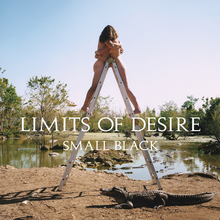 Small Black – <cite>Limits of Desire</cite> album art