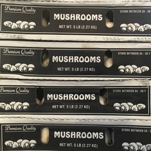 Premium Quality Mushrooms