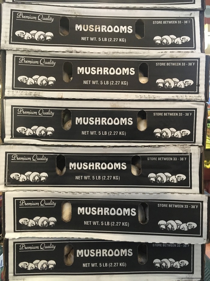 Premium Quality Mushrooms