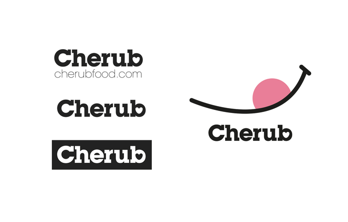 Cherub Baby Food 4