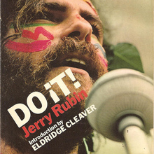 <cite>DO IT! Scenarios of the Revolution</cite> by Jerry Rubin