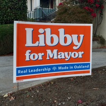 “Libby for Mayor” lawn sign (2014)