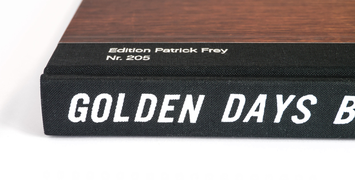 Golden Days Before They End 8