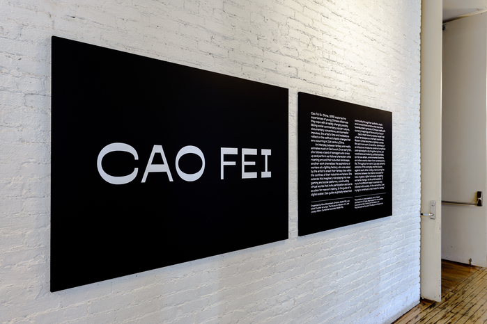 Cao Fei at MoMA PS1 3