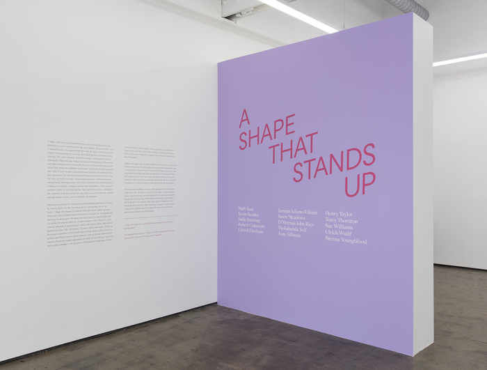 A Shape That Stands Up 2