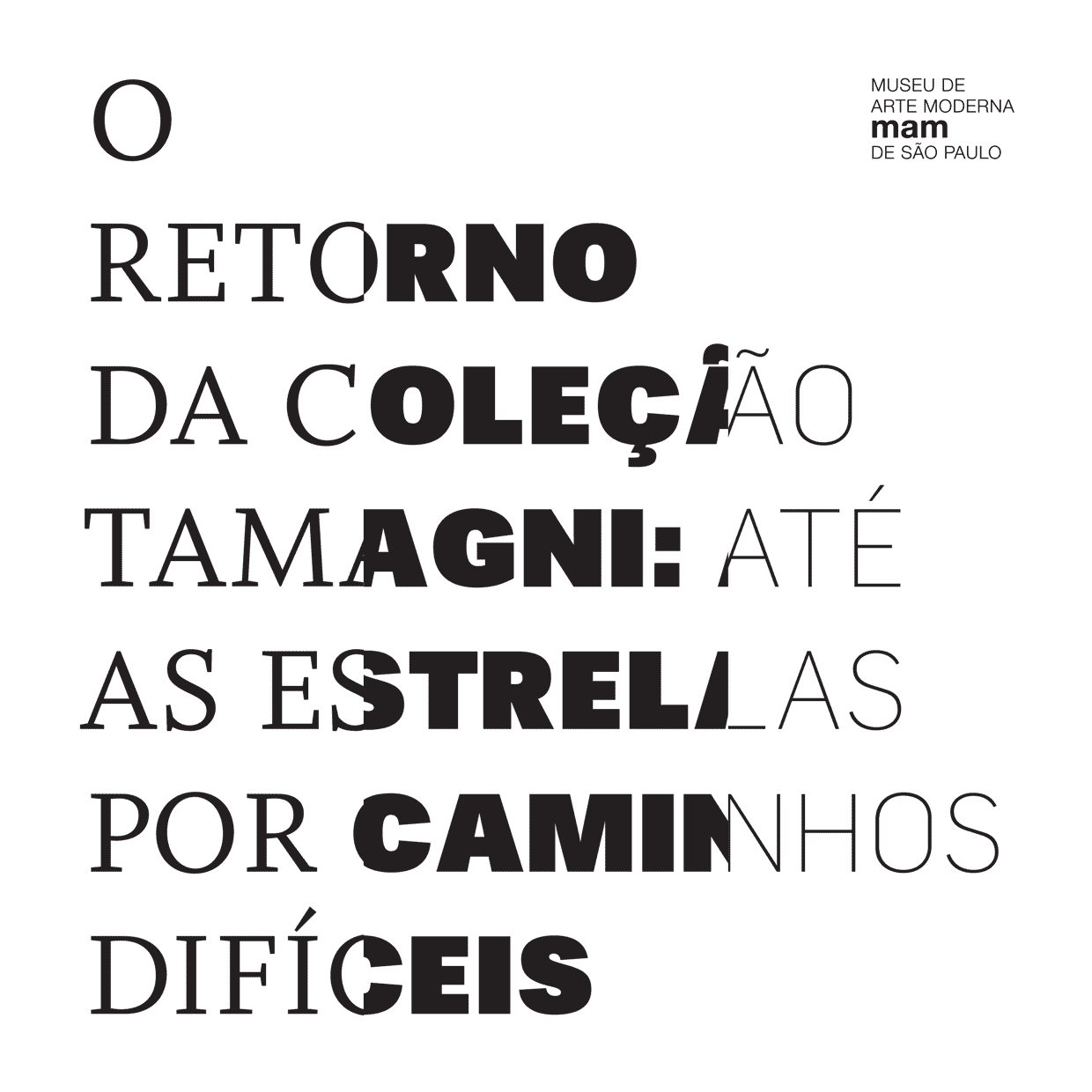 O Retorno da Coleção Tamagni, Museu de Arte Moderna de São Paulo 1