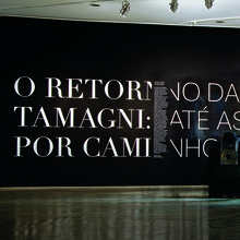<cite>O Retorno da Coleção Tamagni</cite>, Museu de Arte Moderna de São Paulo
