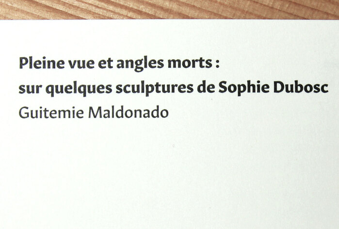 Avec ou sans raison by Sophie Dubosc 4