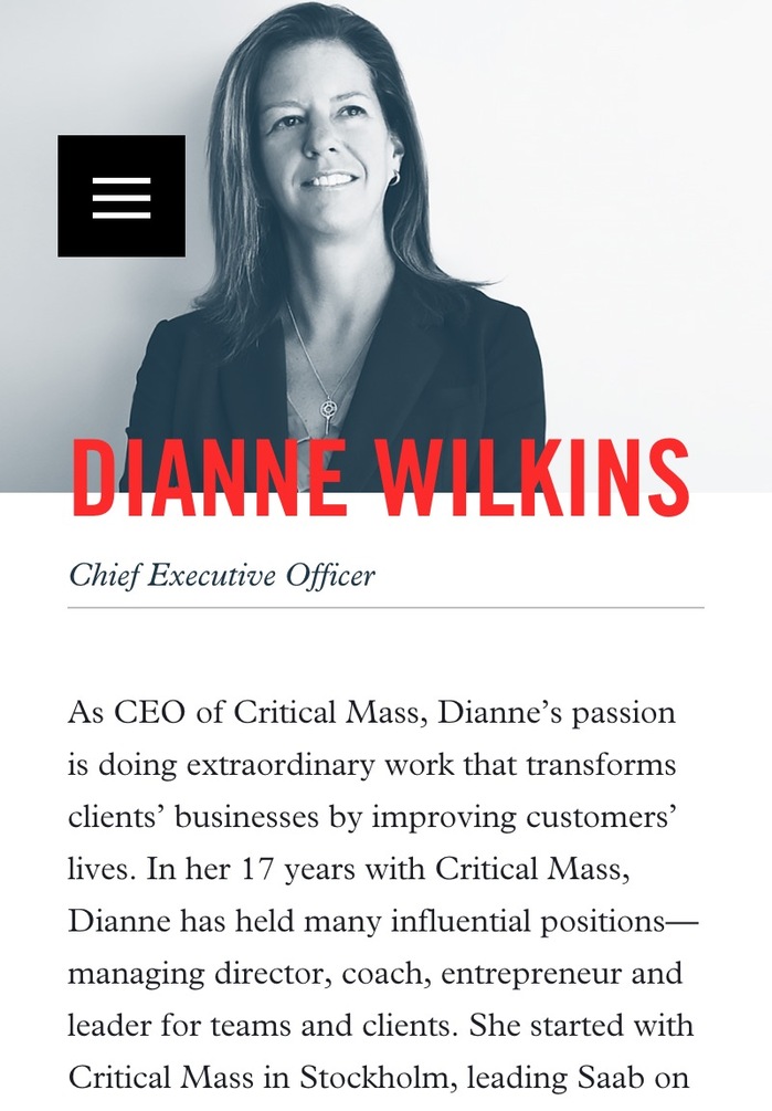Critical Mass website 13