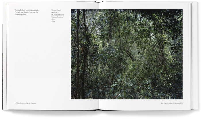 The Nature of Photographs (Phaidon) 4