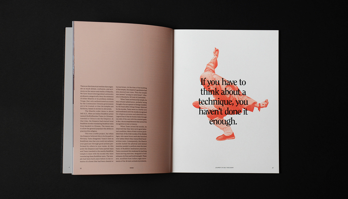 Ronin magazine 5