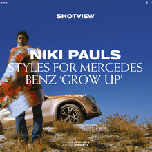 <cite>Shotview</cite> website (2017)