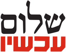 <cite>Peace Now</cite> logo