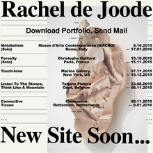 Rachel de Joode’s portfolio website (2017)