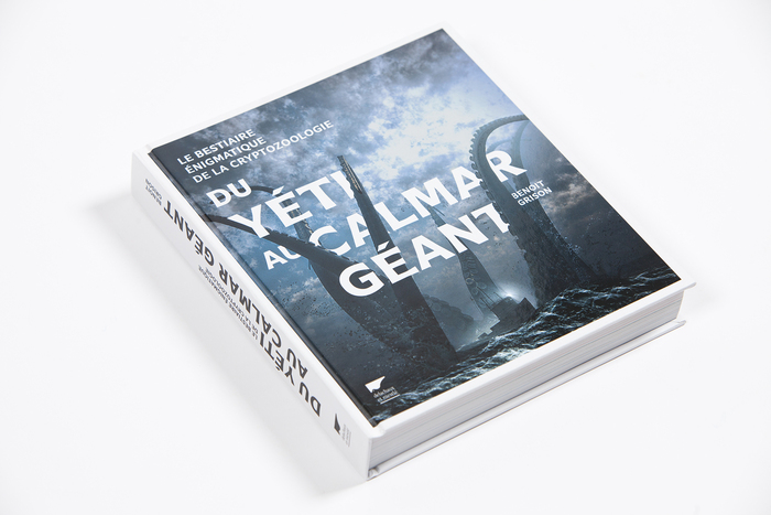 Du yéti au calmar géant 1
